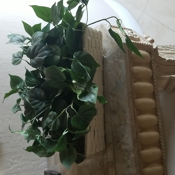 Faux Ivy Hanging Plant - Picture 1 of 3